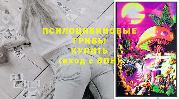 прущие грибы Абинск