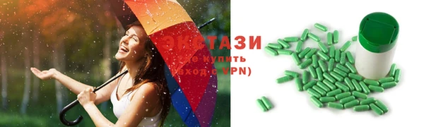 прущие грибы Абинск