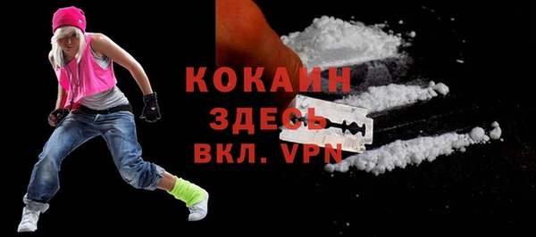 прущие грибы Абинск
