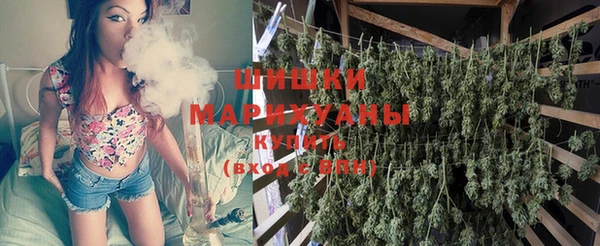 прущие грибы Абинск