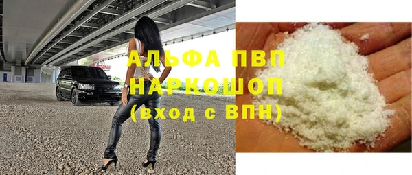 прущие грибы Абинск