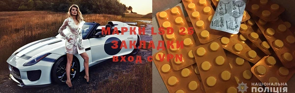 прущие грибы Абинск