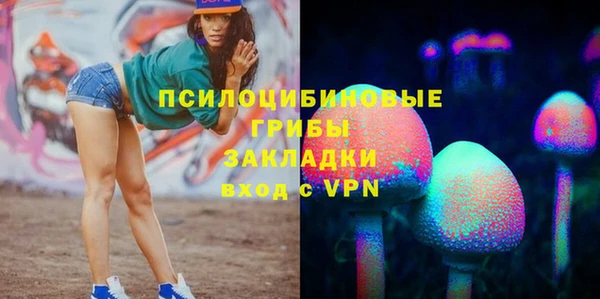PSILOCYBIN Лабытнанги