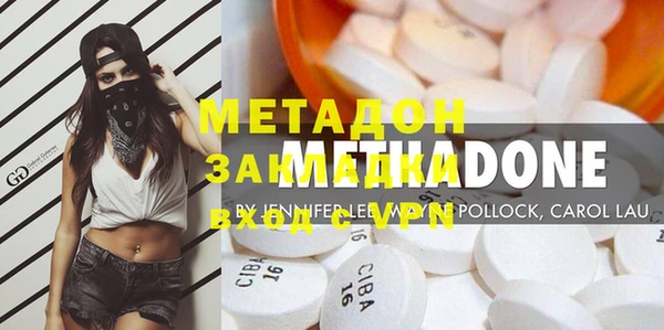 прущие грибы Абинск
