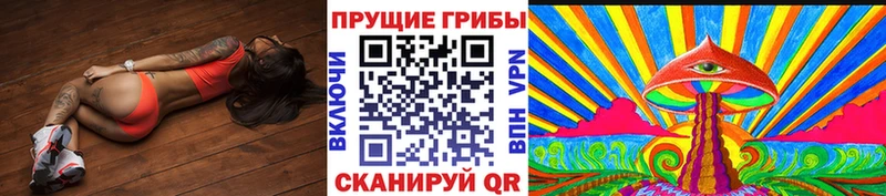 где найти наркотики Райчихинск Псилоцибиновые грибы MAGIC MUSHROOMS